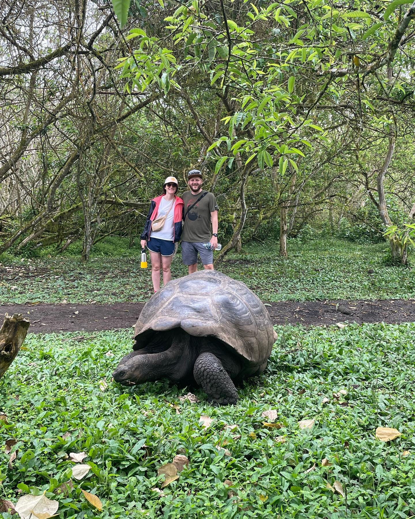 #galapagos #giants #tortoises #150years