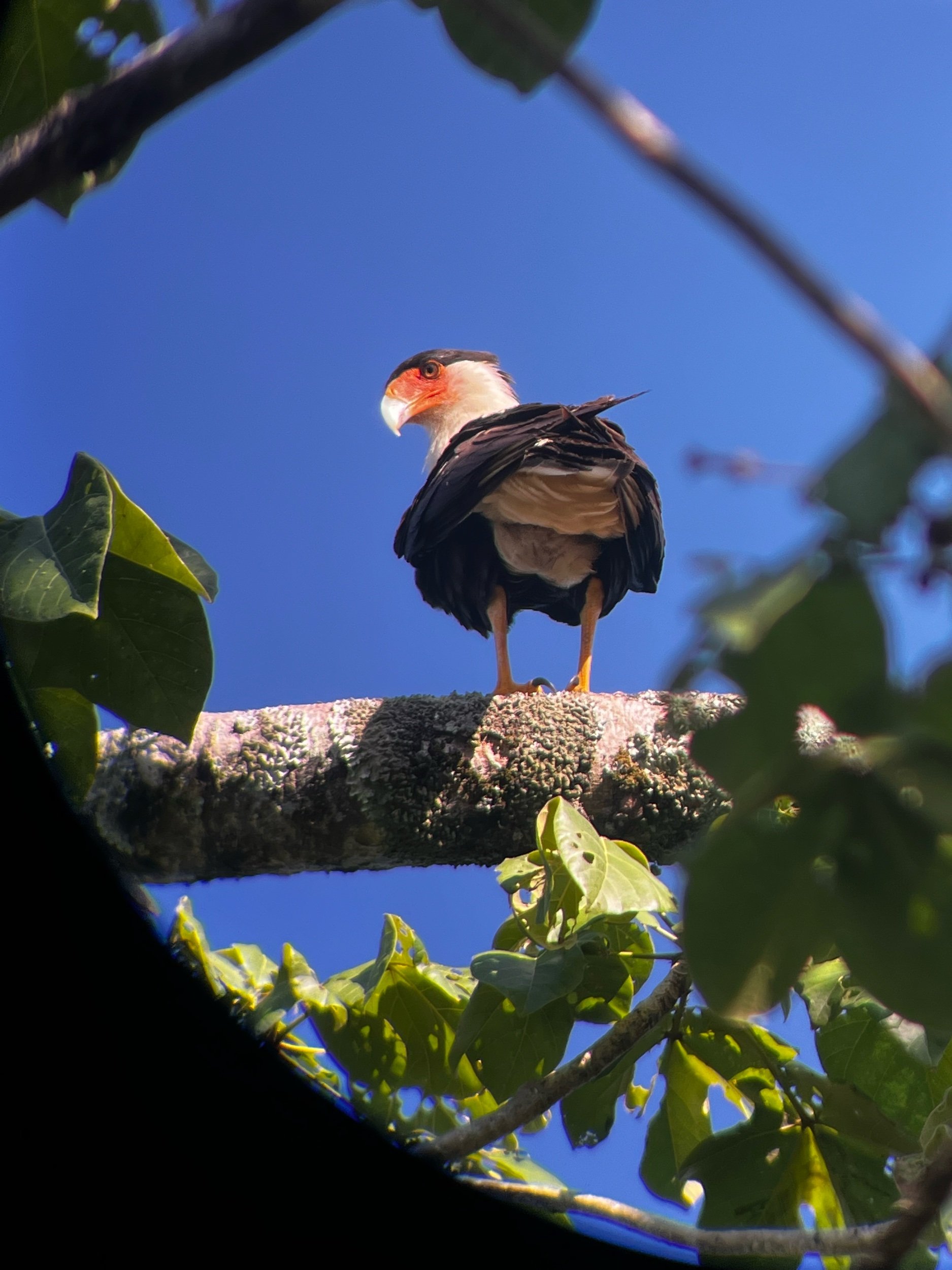 IMG_3863.jpeg