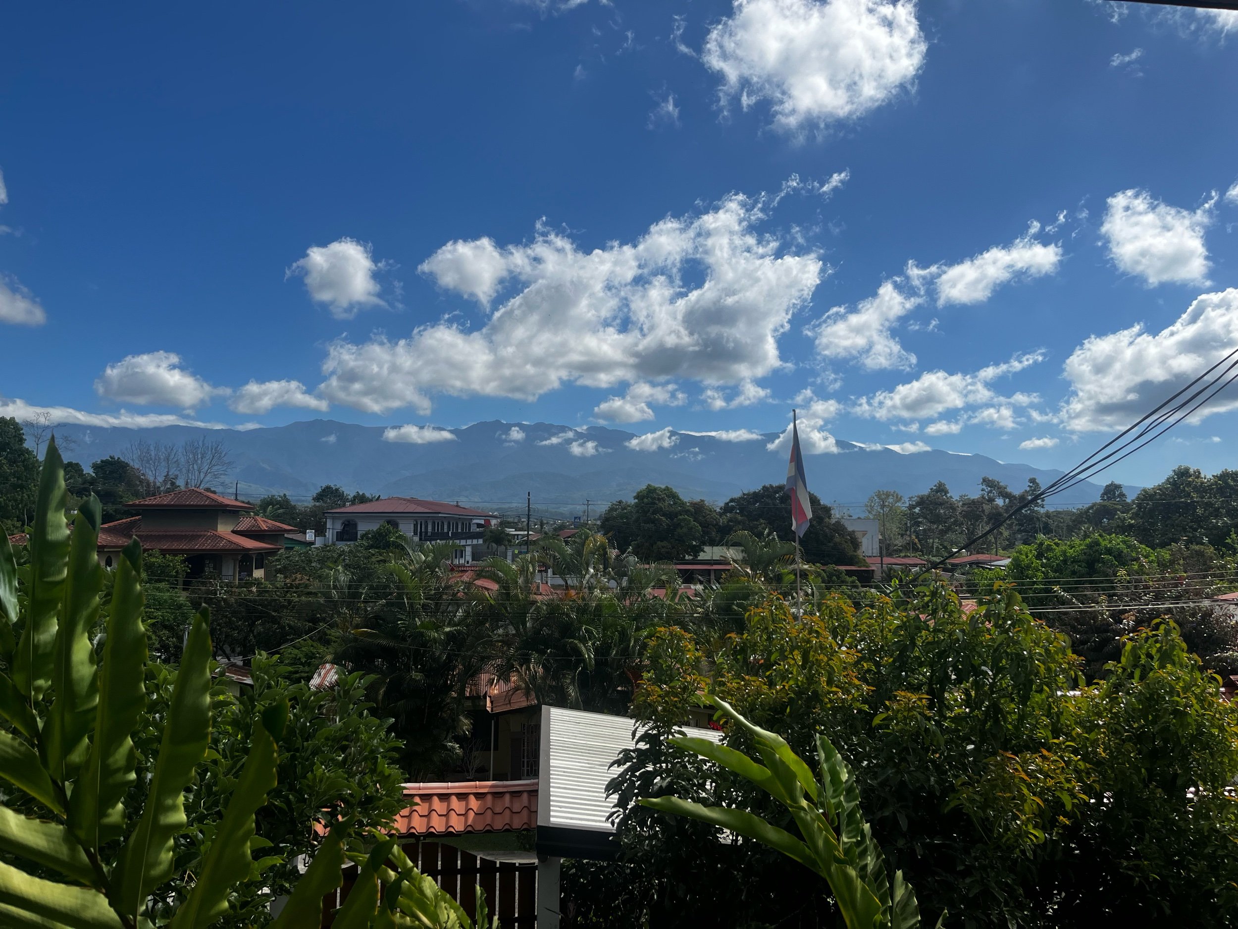 IMG_3952.jpeg